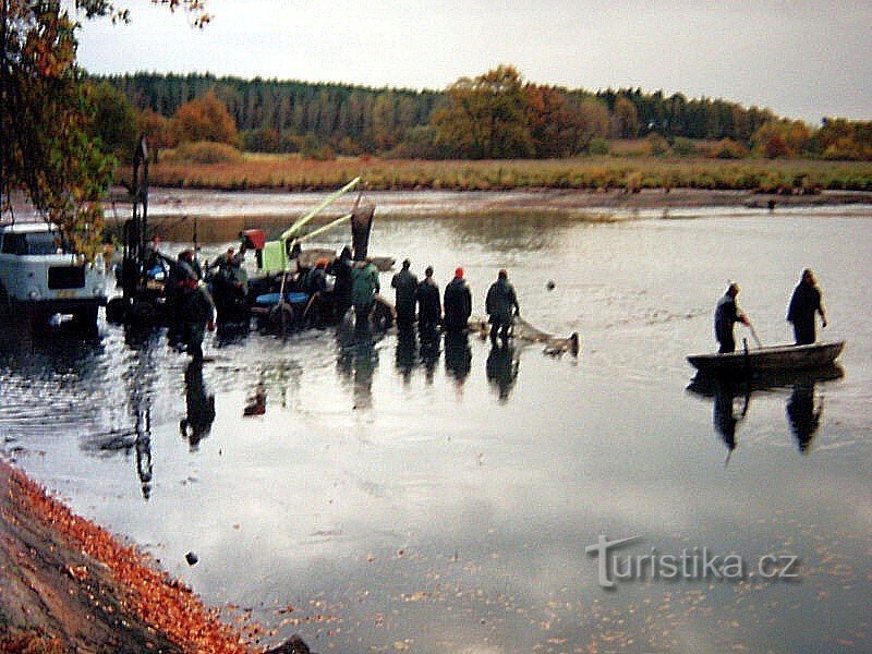 Fischteich Řežabinec