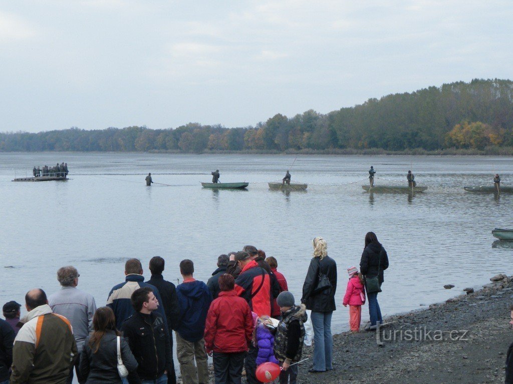 Fang im Teich Vrkoč 2010.