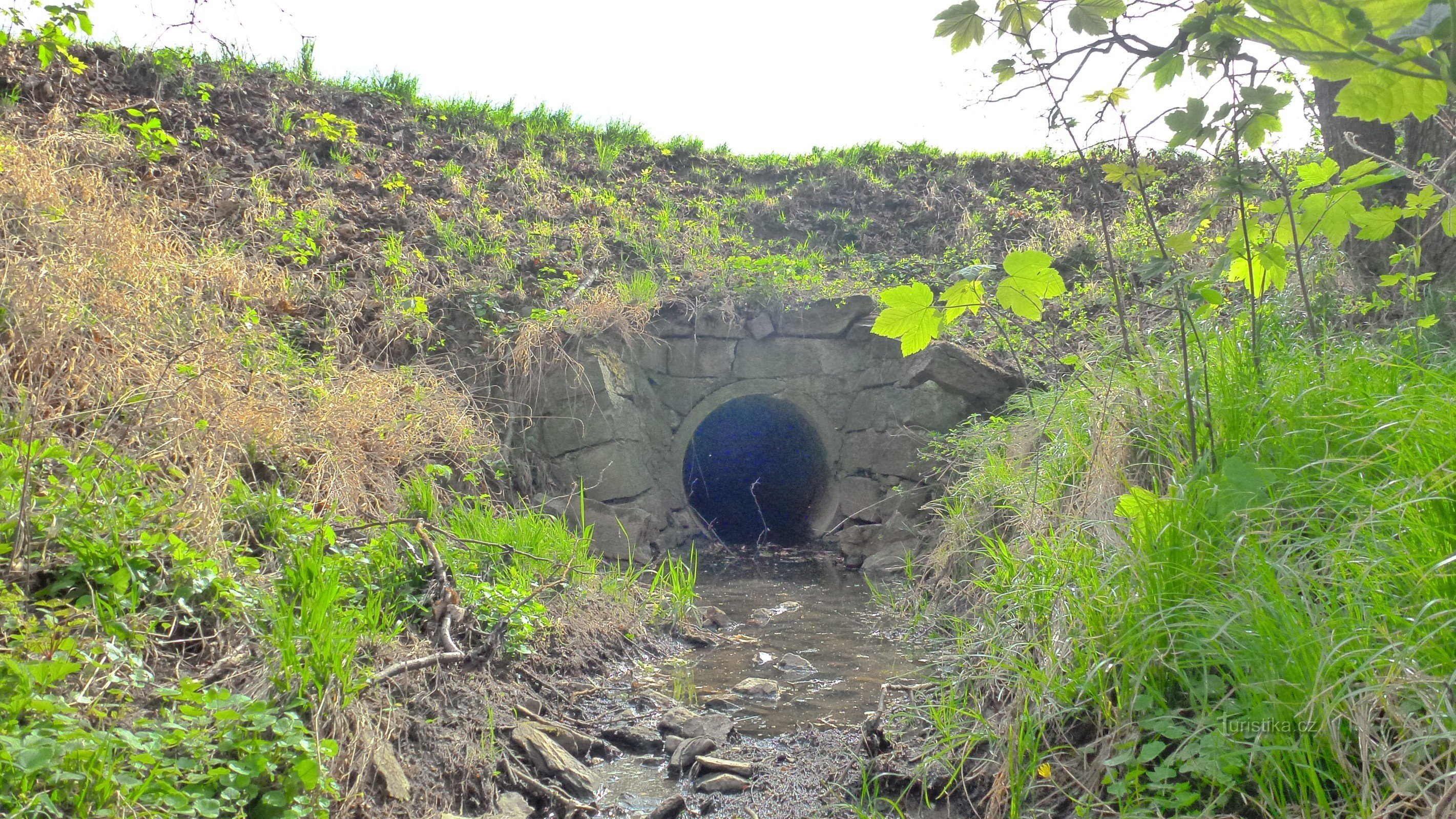 outlet of the pond below the dam