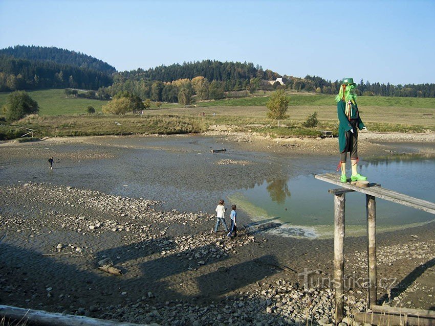 gedraineerde vijver