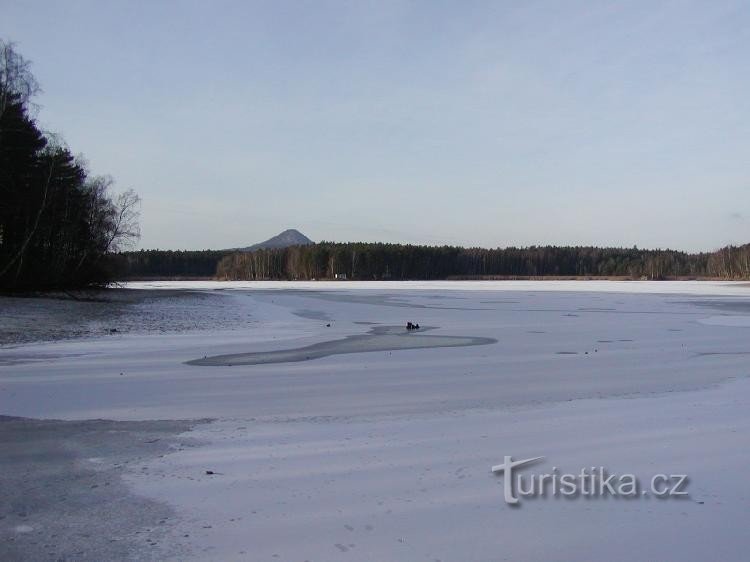 Kuivattu lampi, taustalla Ronov