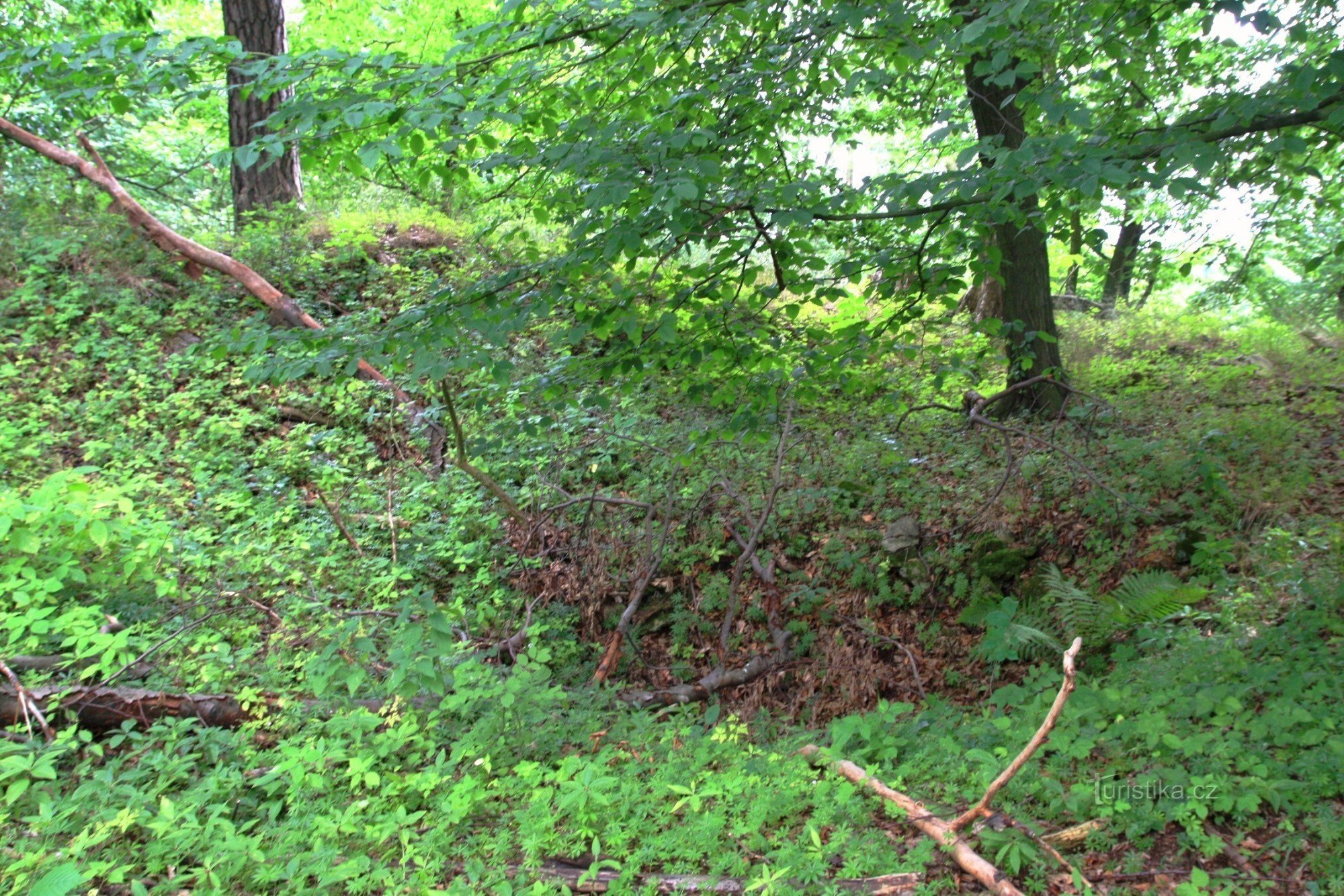 A distinct depression on the castle hill