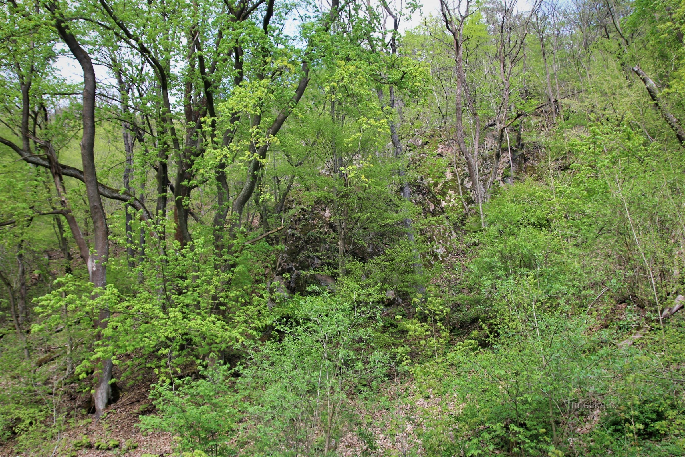 Distinct rocky ridges