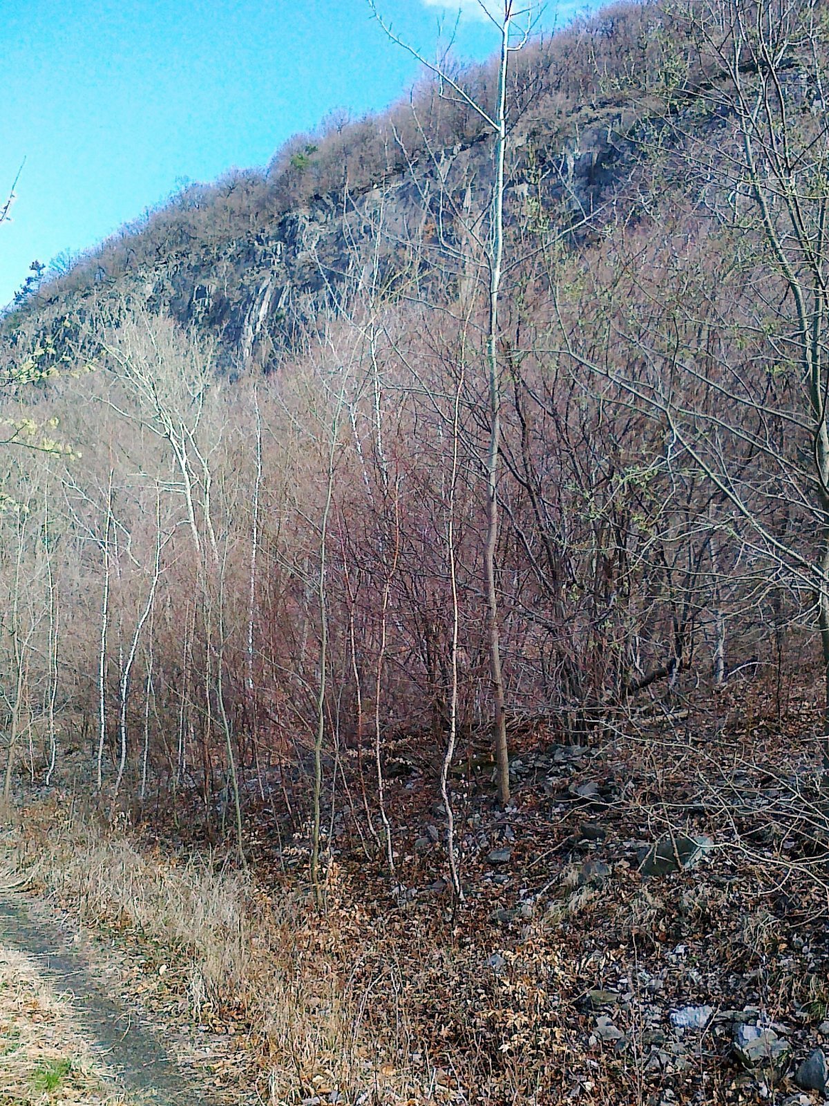 Der Aufschluss der Milešovka-Felsen