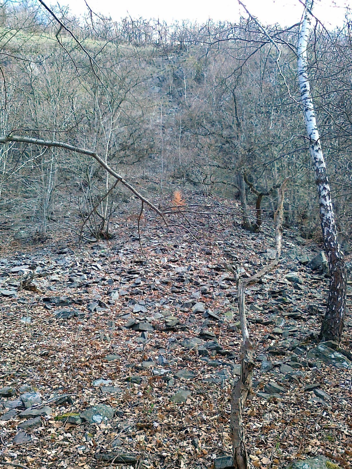 Der Aufschluss der Milešovka-Felsen