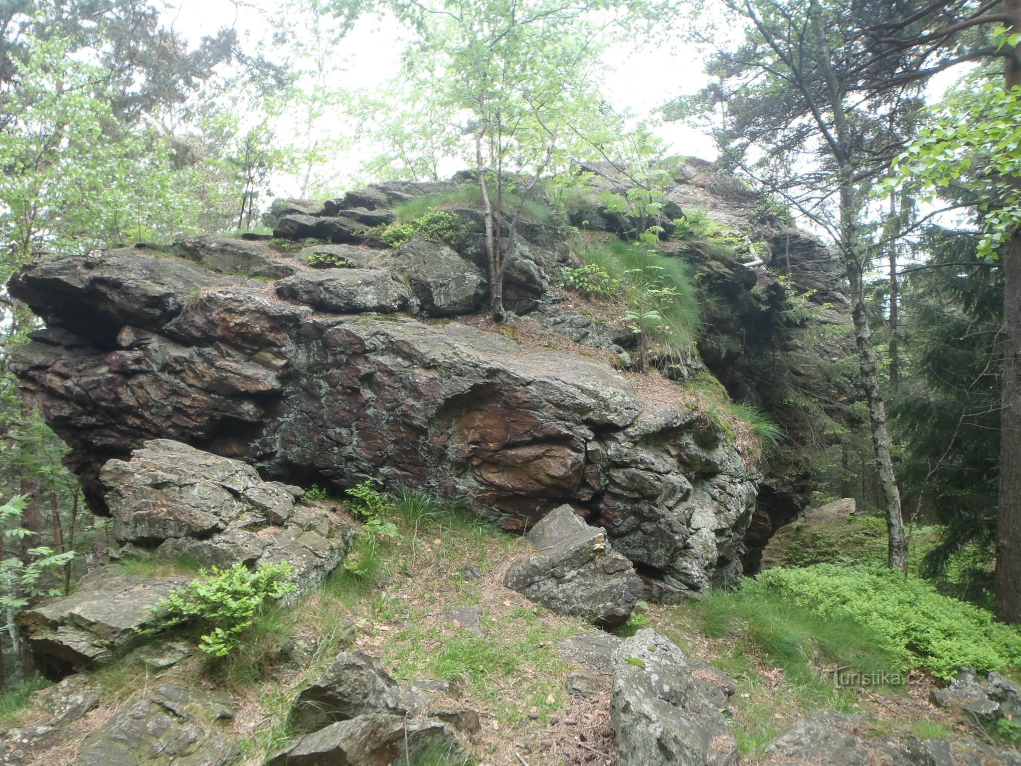 Pedra do Abutre