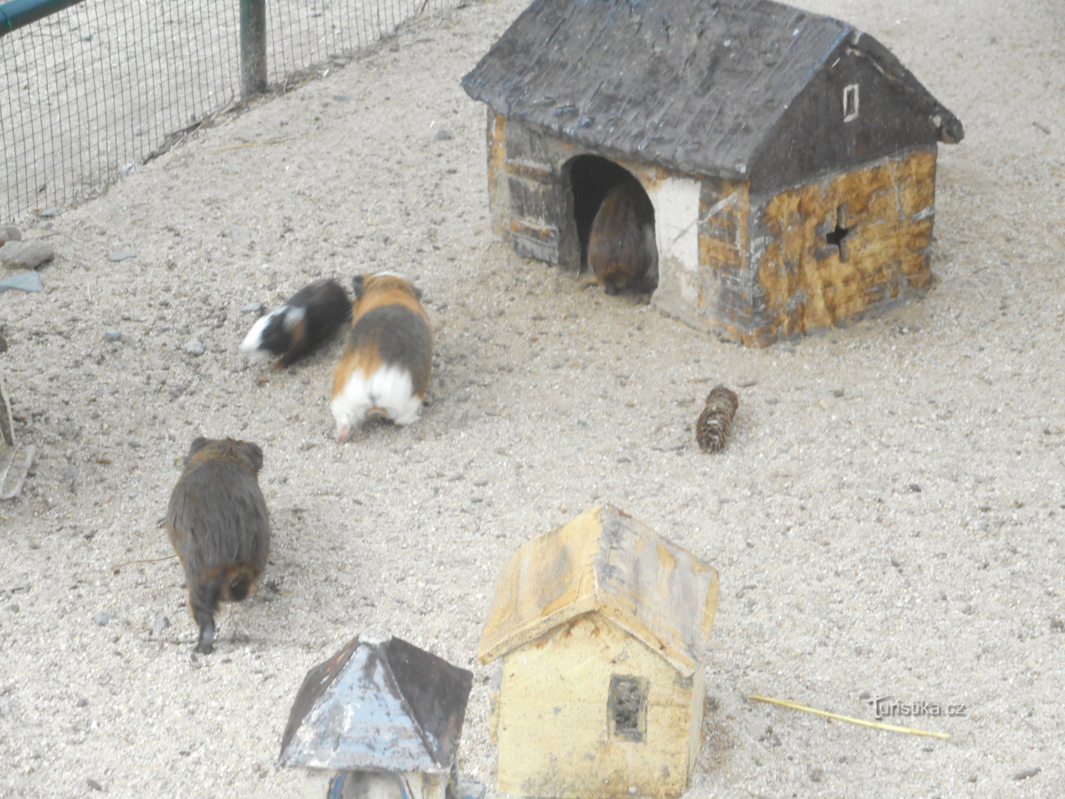 ヴィシュコフ - 動物園と恐竜公園