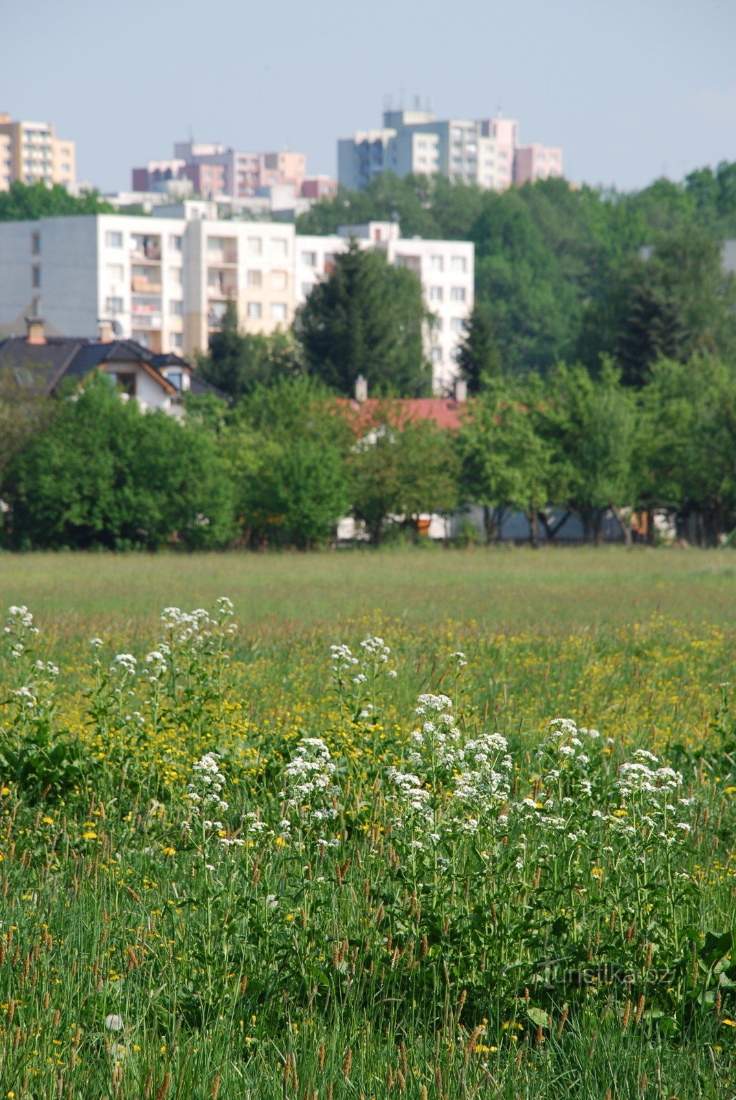 Vyškovice depuis l'ouest