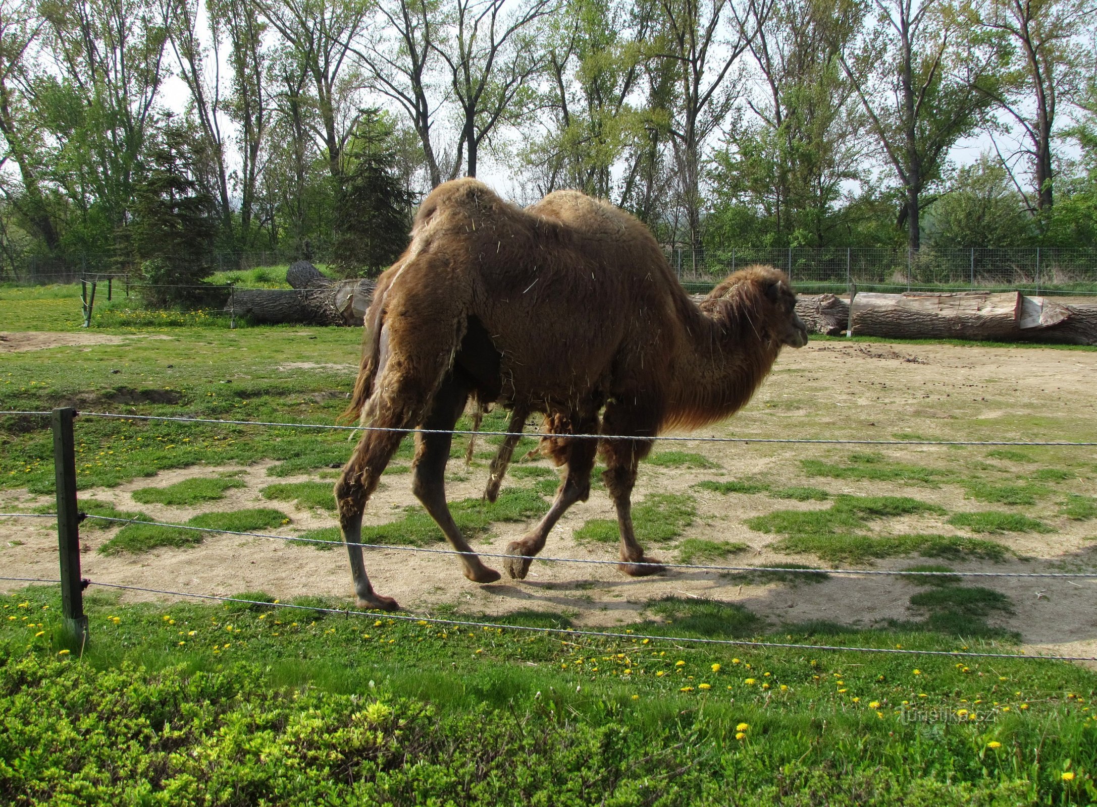 Zoológico de Vyškov