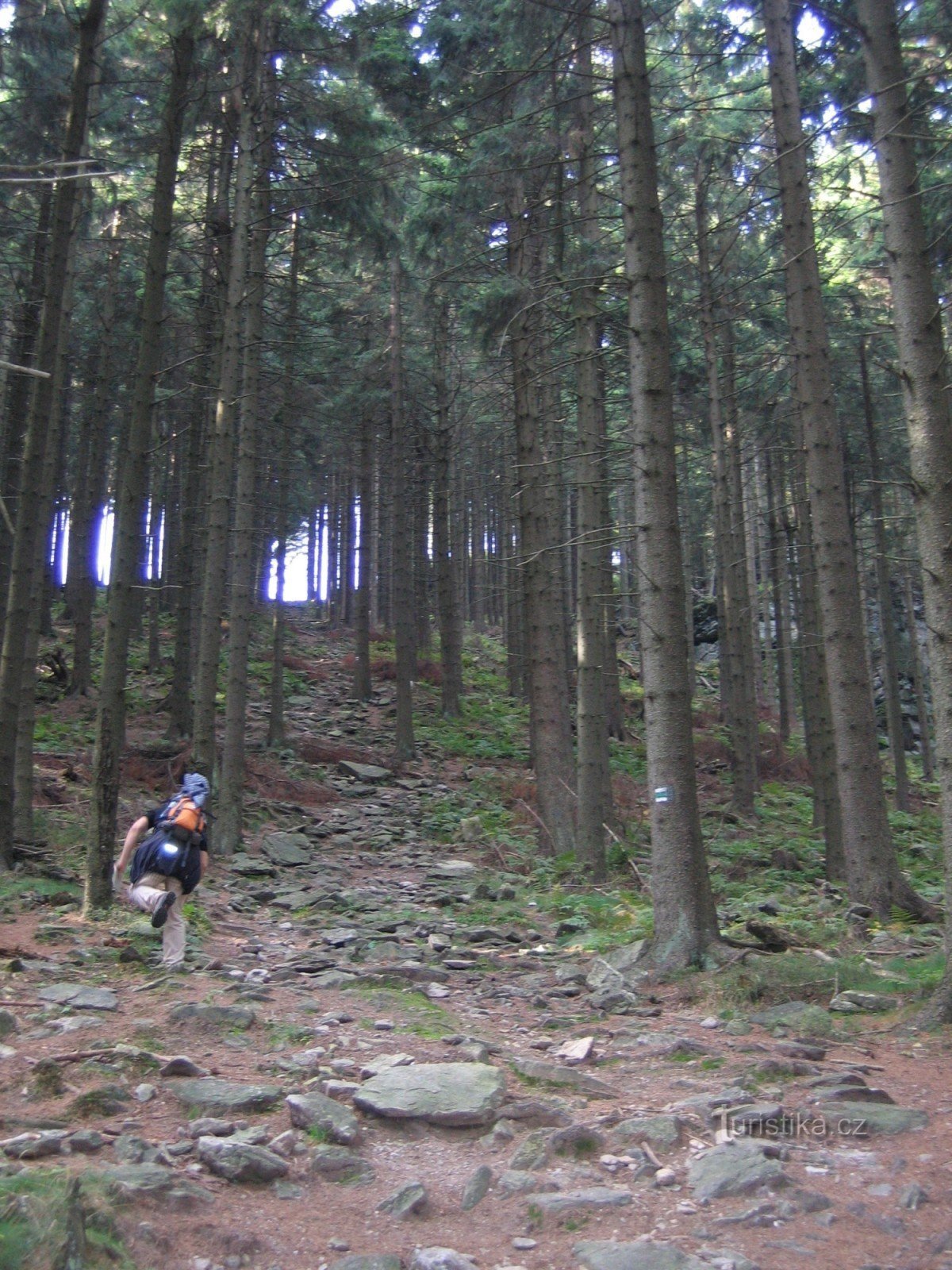 Wanderung zur Burg