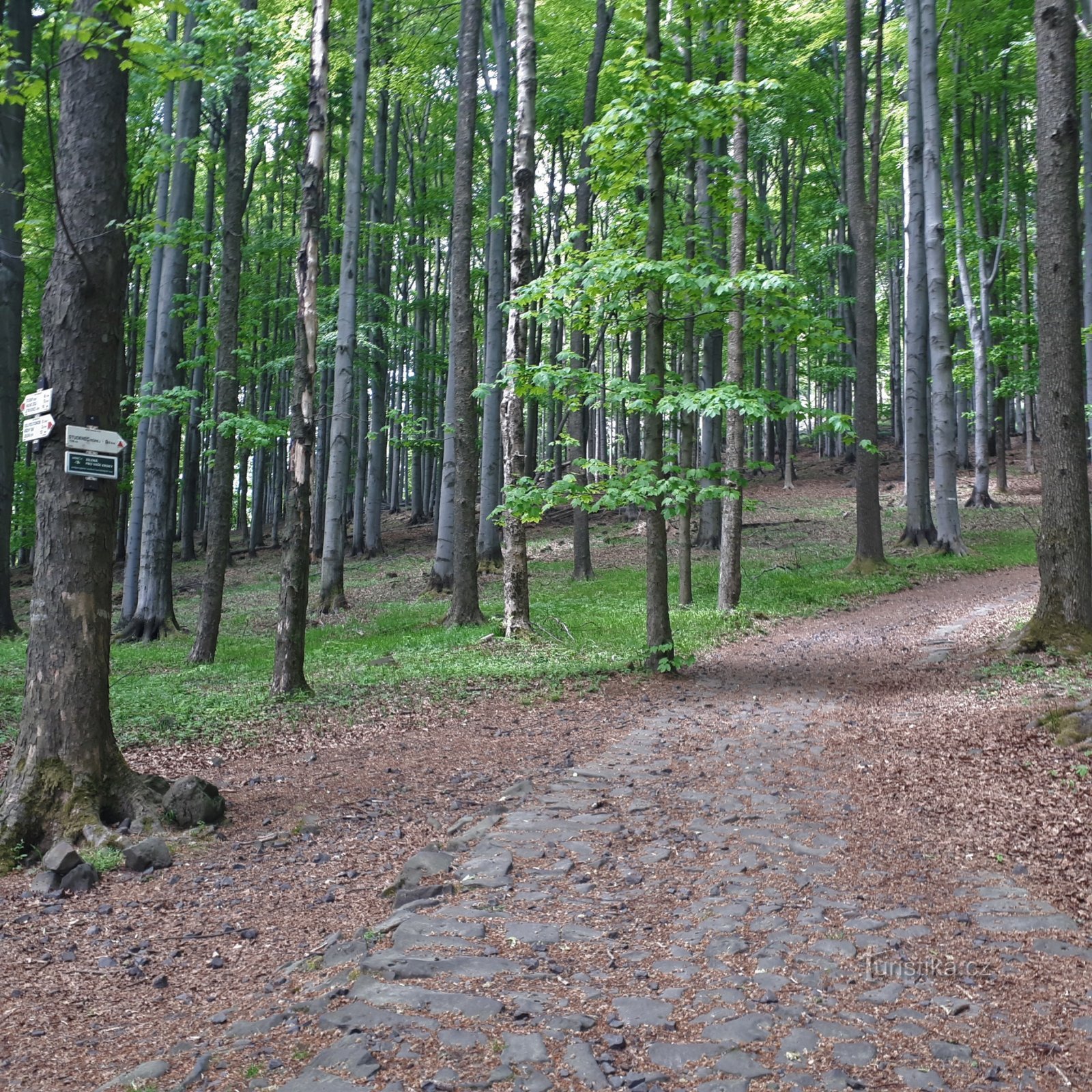 Wanderung nach Studenec