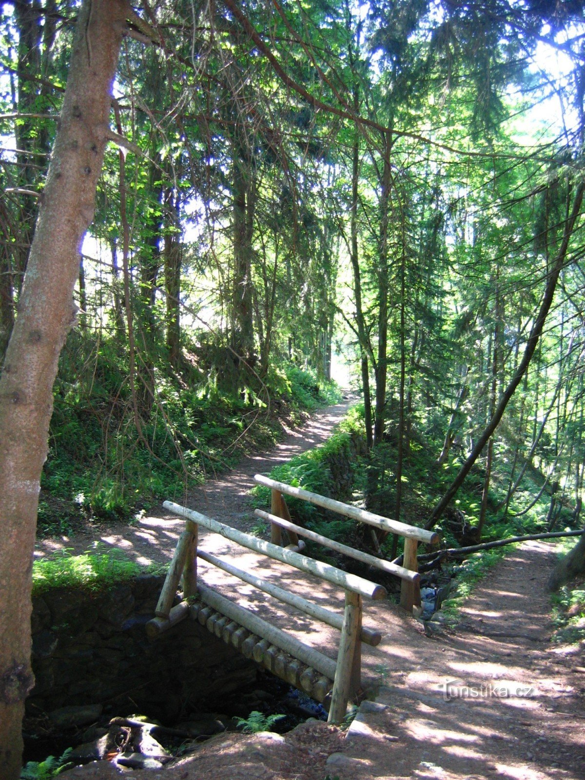 Wandeling van Velká Úpa naar Sněžka