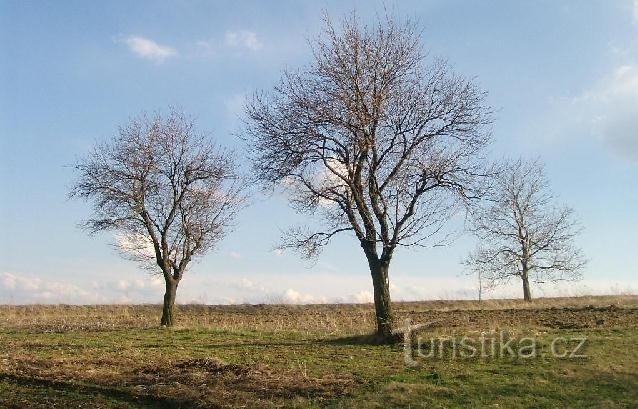 tierras altas