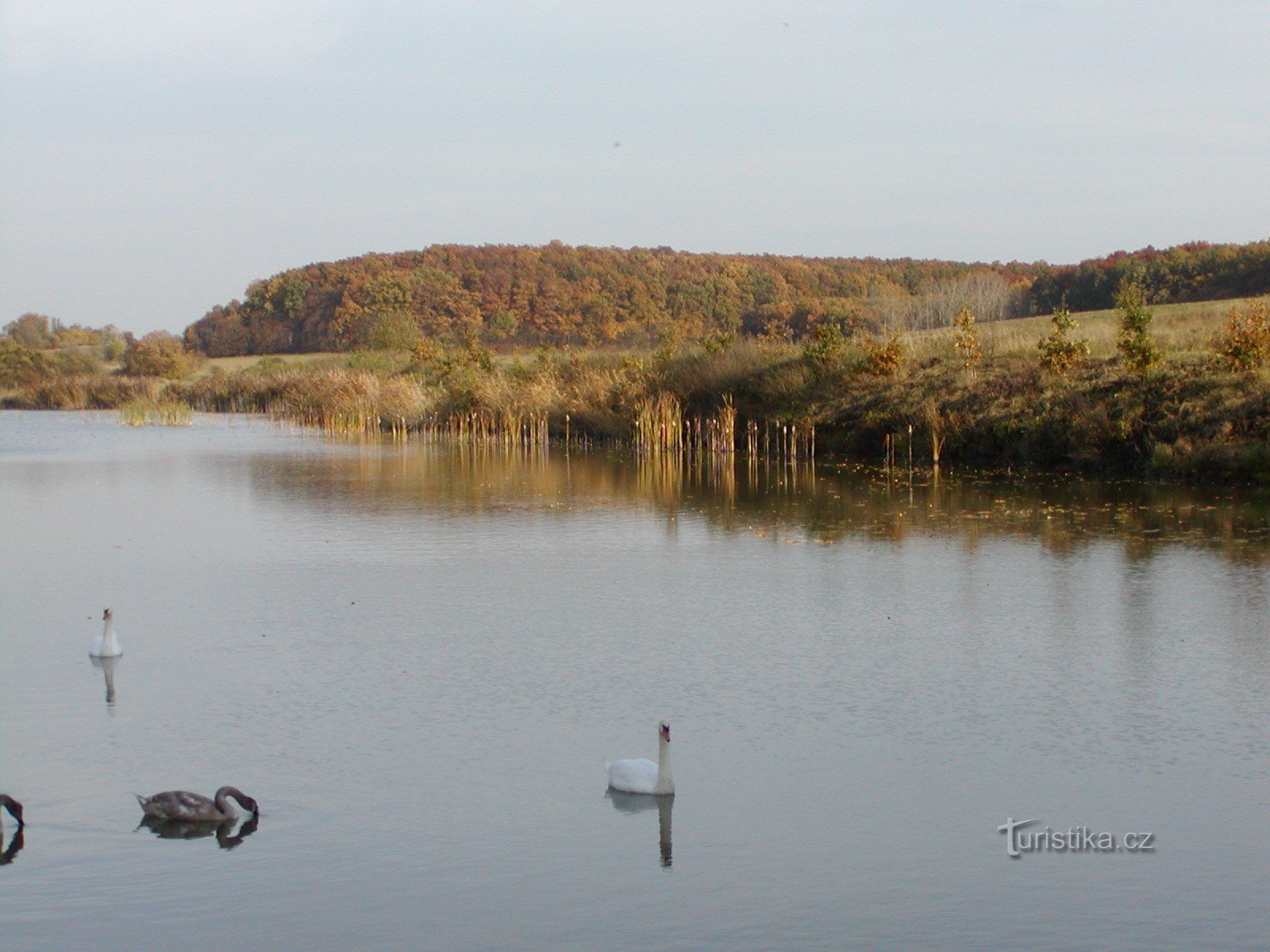 Vysoké Veselí - antigo lago