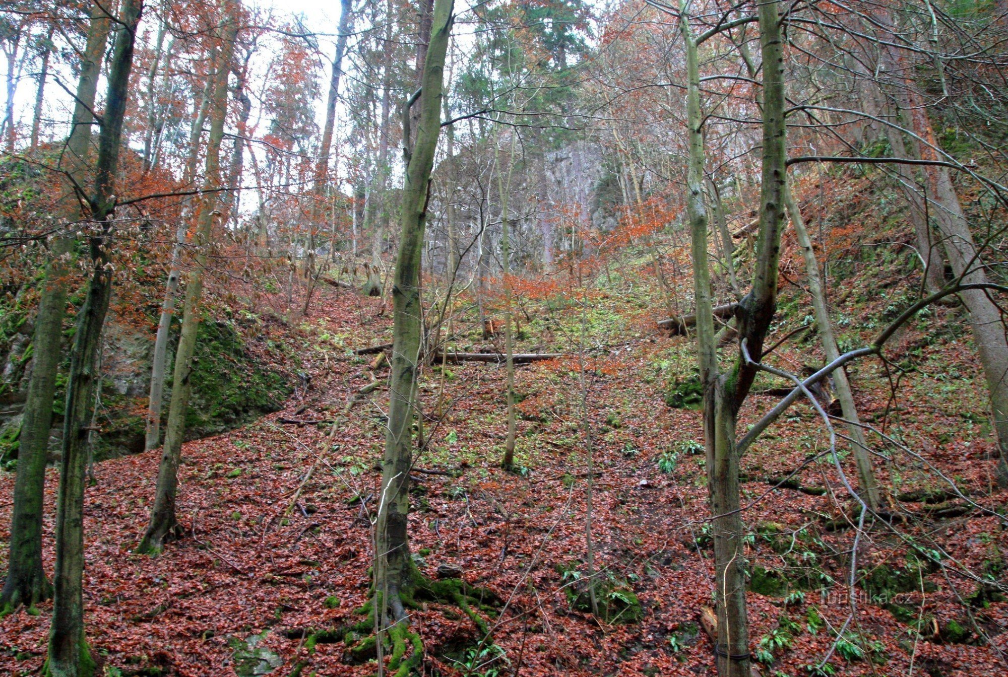 Hoch oben am Hang unter der Felswand befindet sich der Eingang zur Höhle