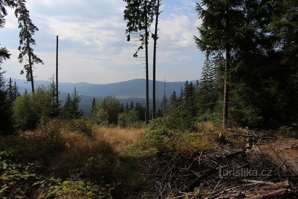 Korkea selkä, etelään katsova