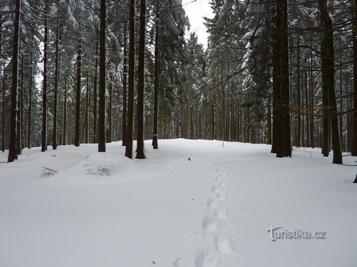 Hoge Rykali in de winter