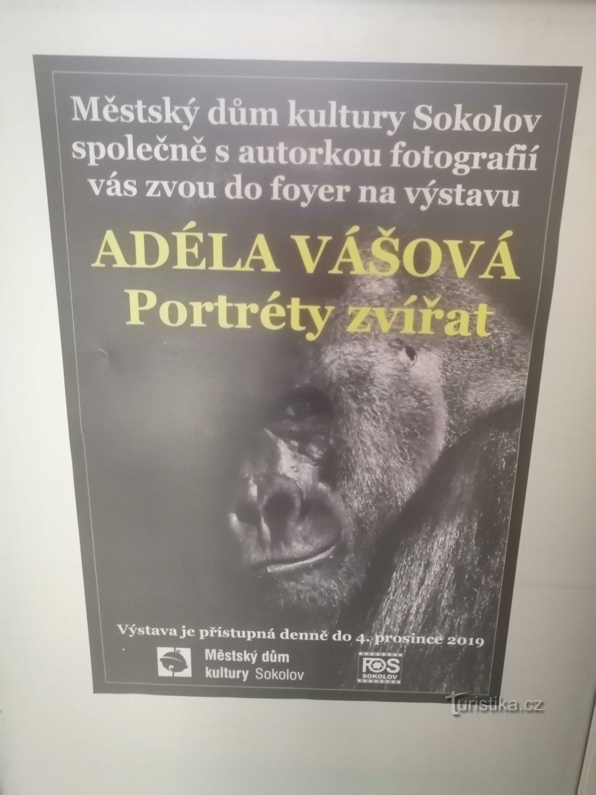 Utställning Adéla Vášová - Djurens liv - Sokolov