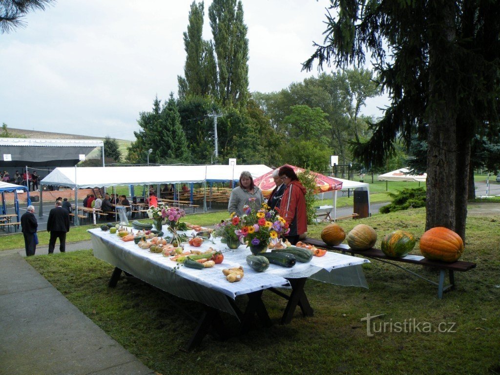 Tentoonstelling van lokale gewassen