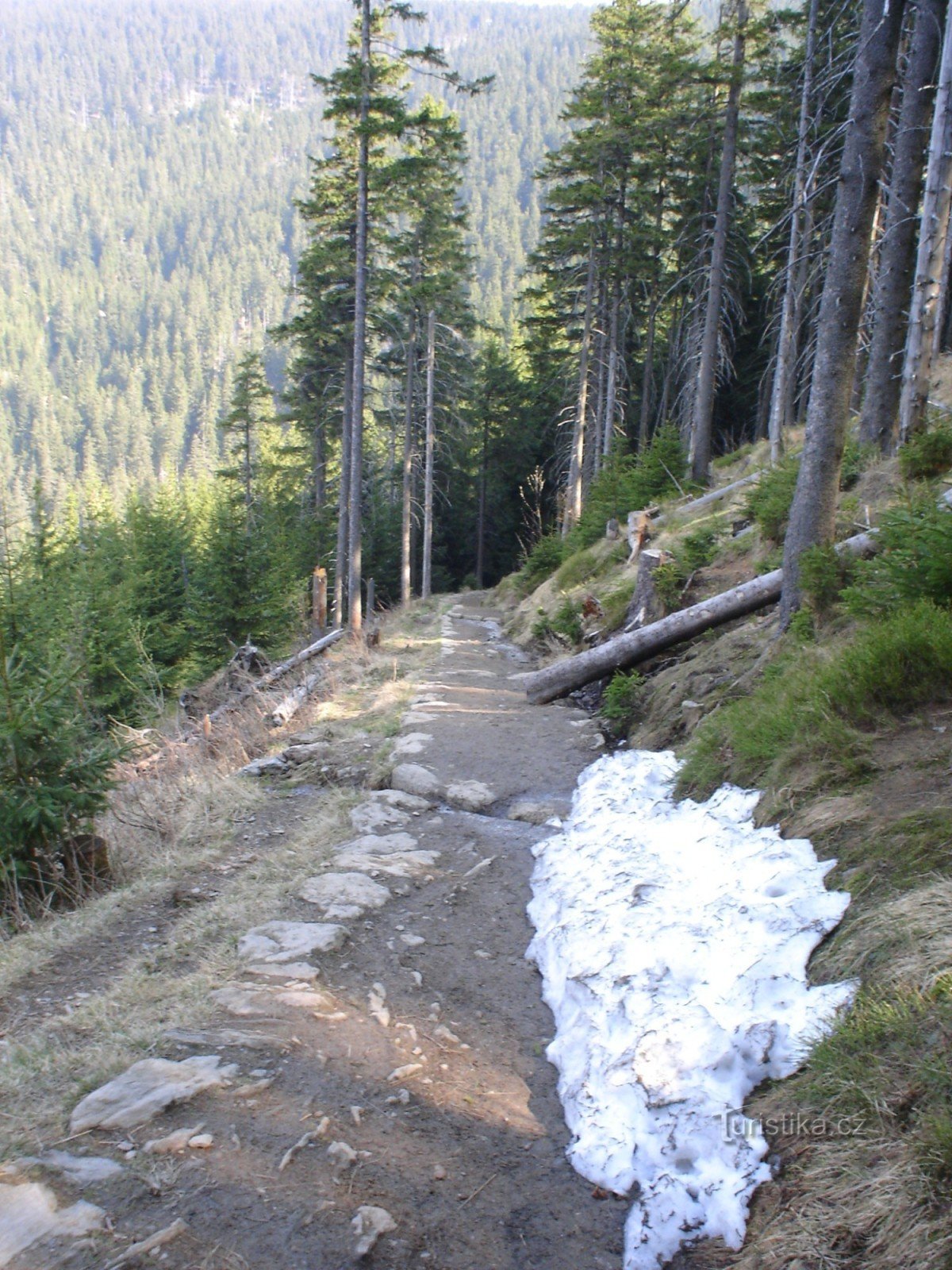 Ascent to Snežka