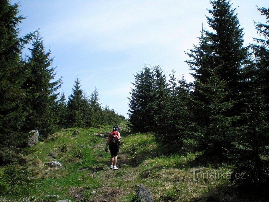 Salendo in cima.