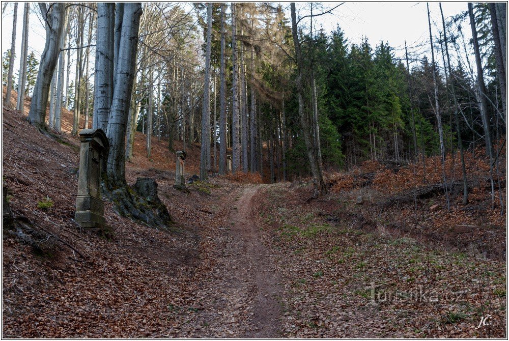 Der Aufstieg nach Závora von Chvalče wird von einem Querweg flankiert.