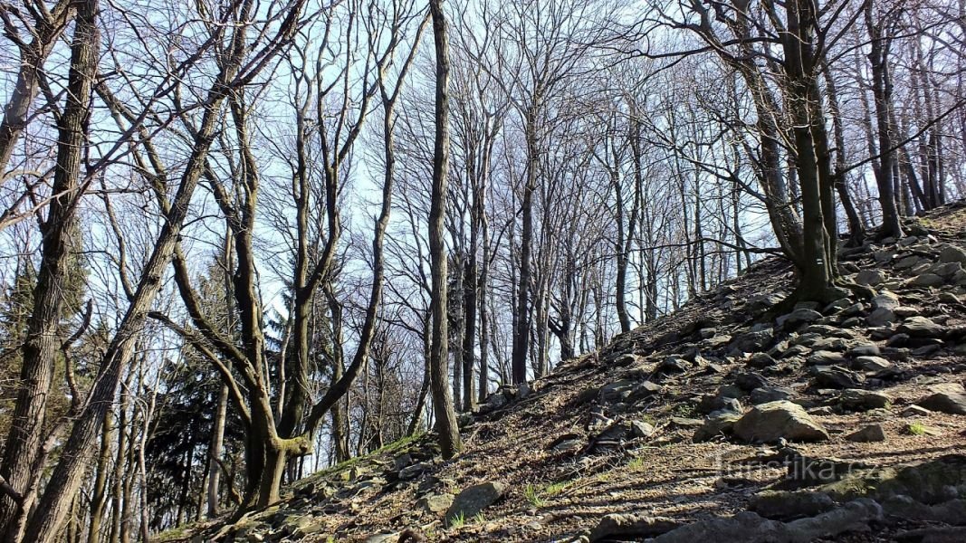 виїзд з розв'язки Сідло-Сівер