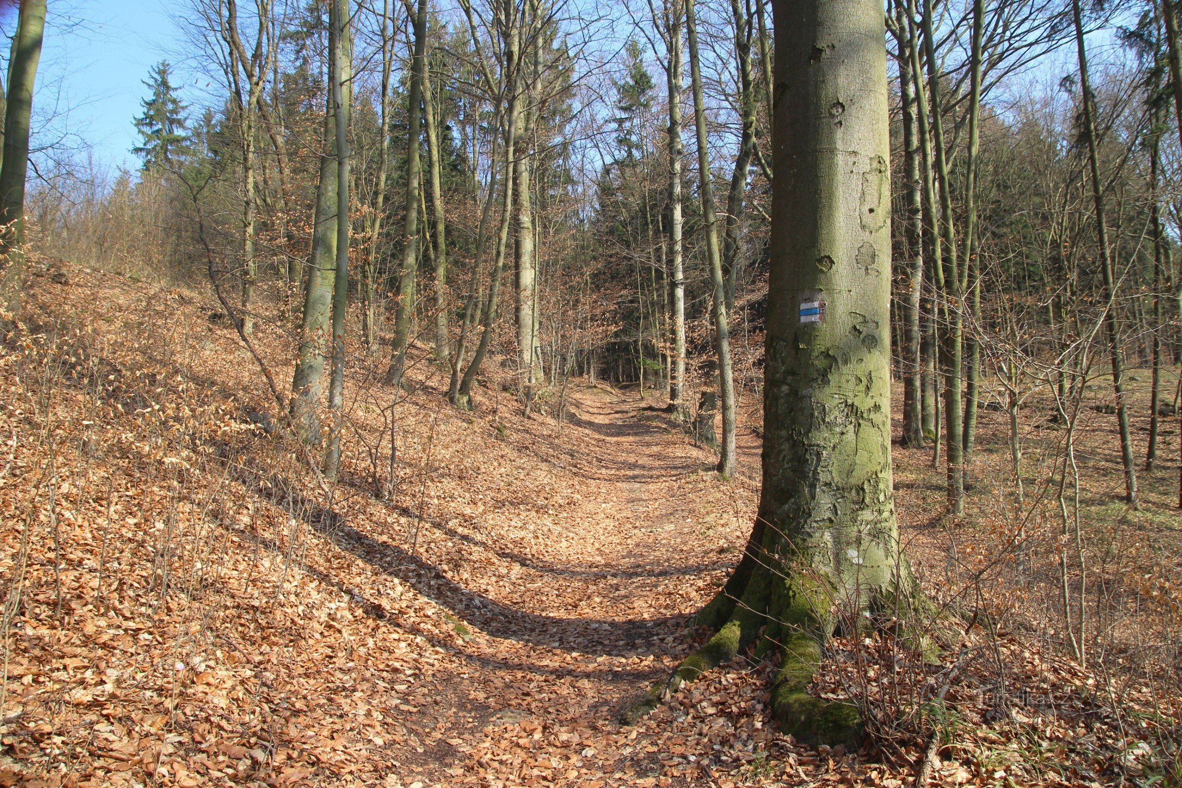 Subida ao longo do marcador azul na borda da floresta