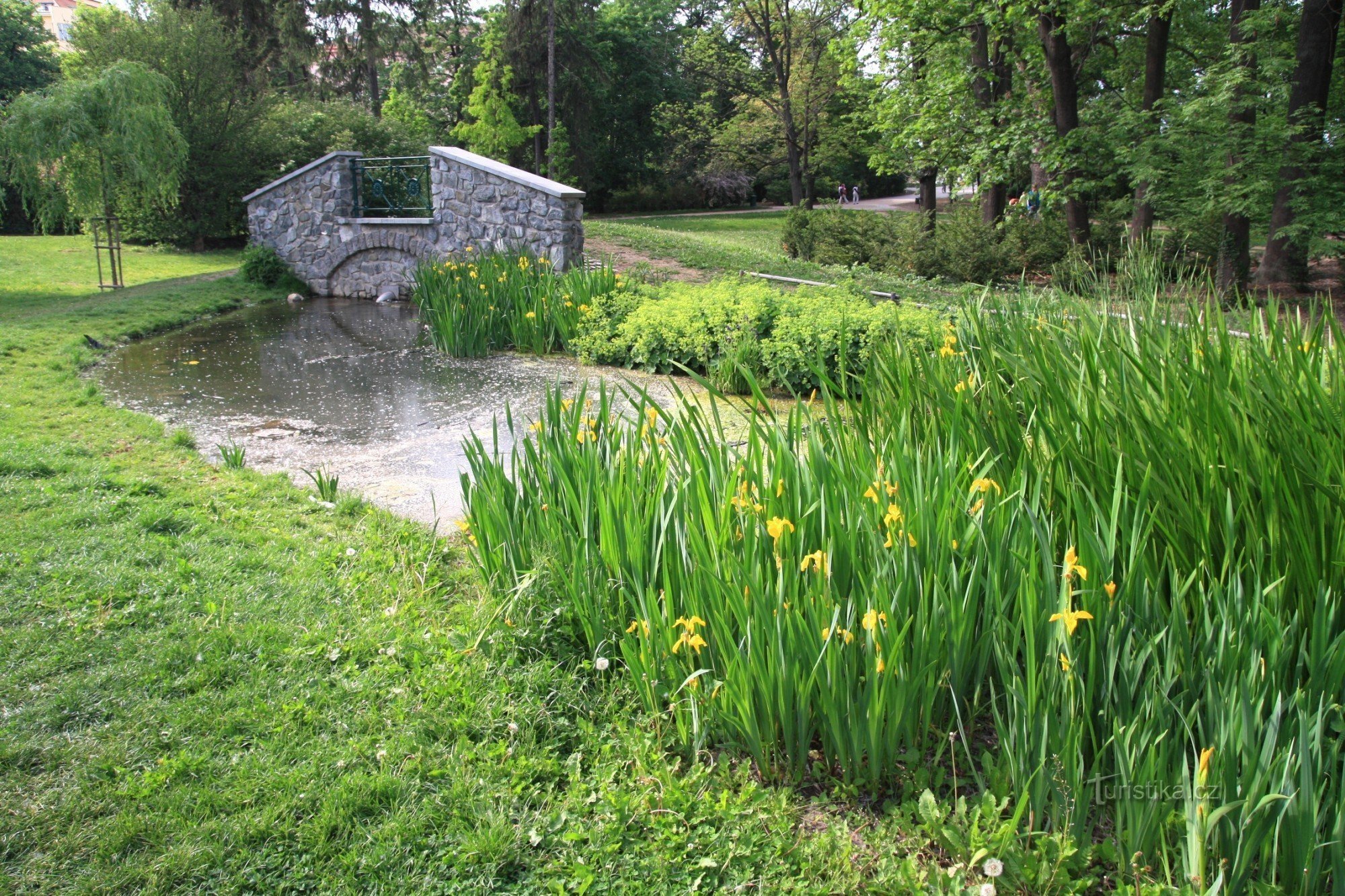 The outlet of the Ponávky river in the park