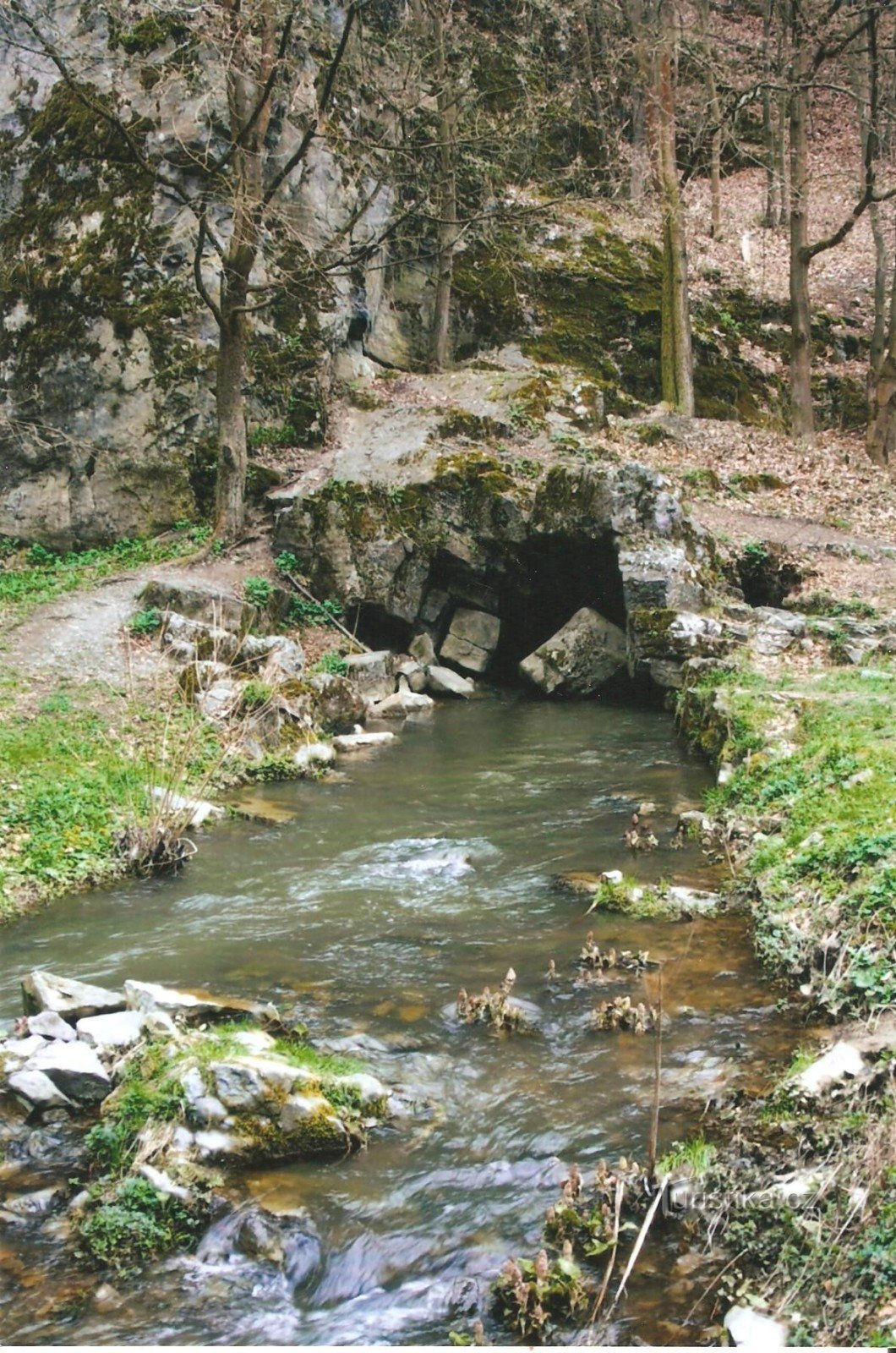 The source of Jedovnické brook