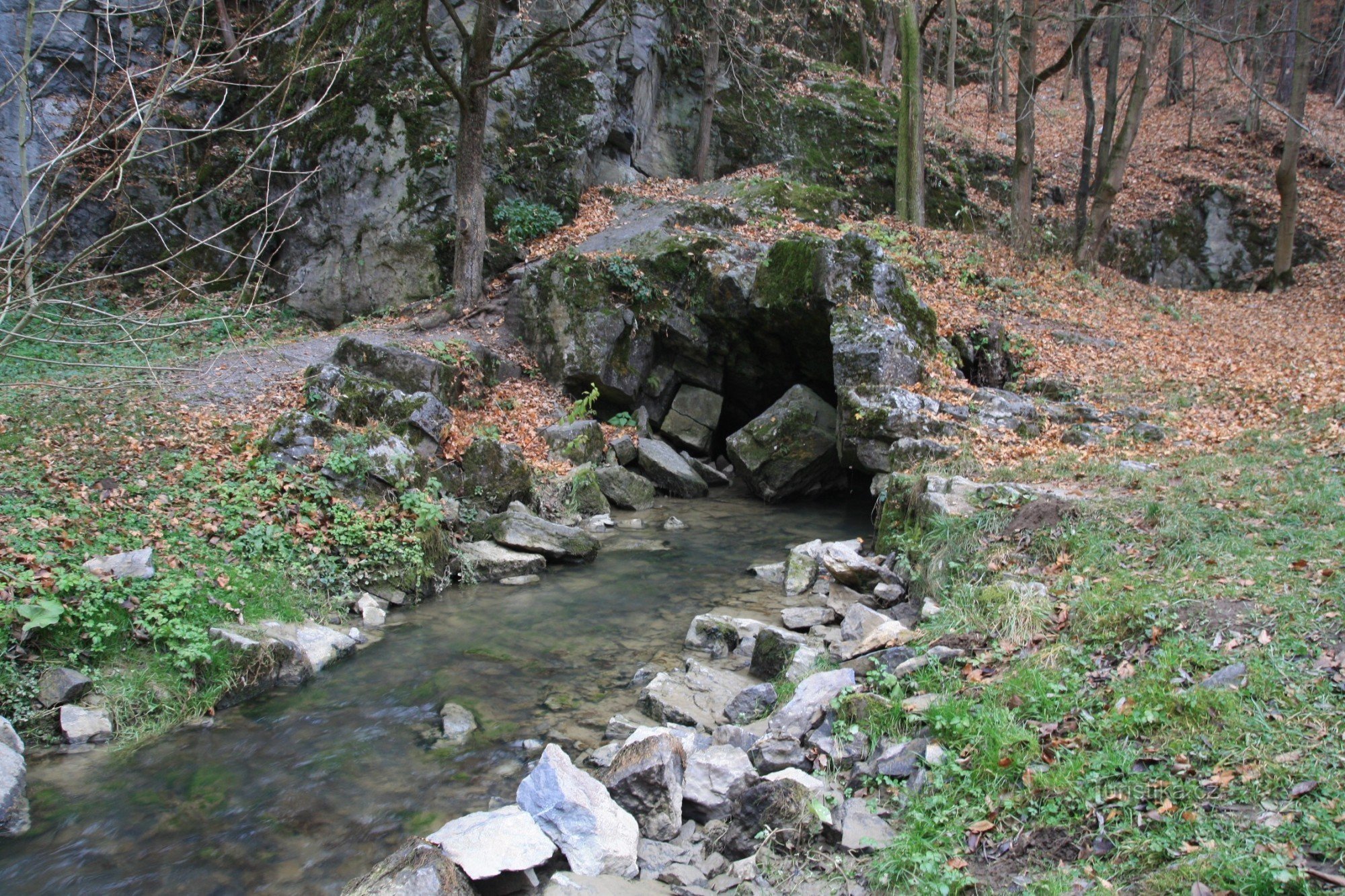 The source of Jedovnické brook