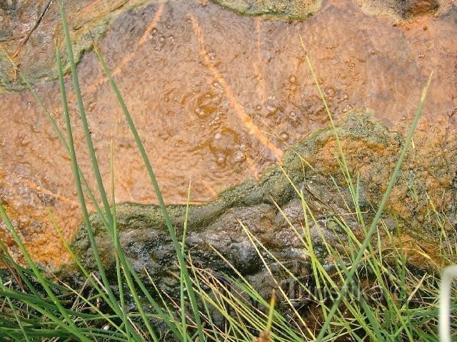 Printemps : Près du village de Hájek, près de Františkové Lázně, vous trouverez un parc naturel national