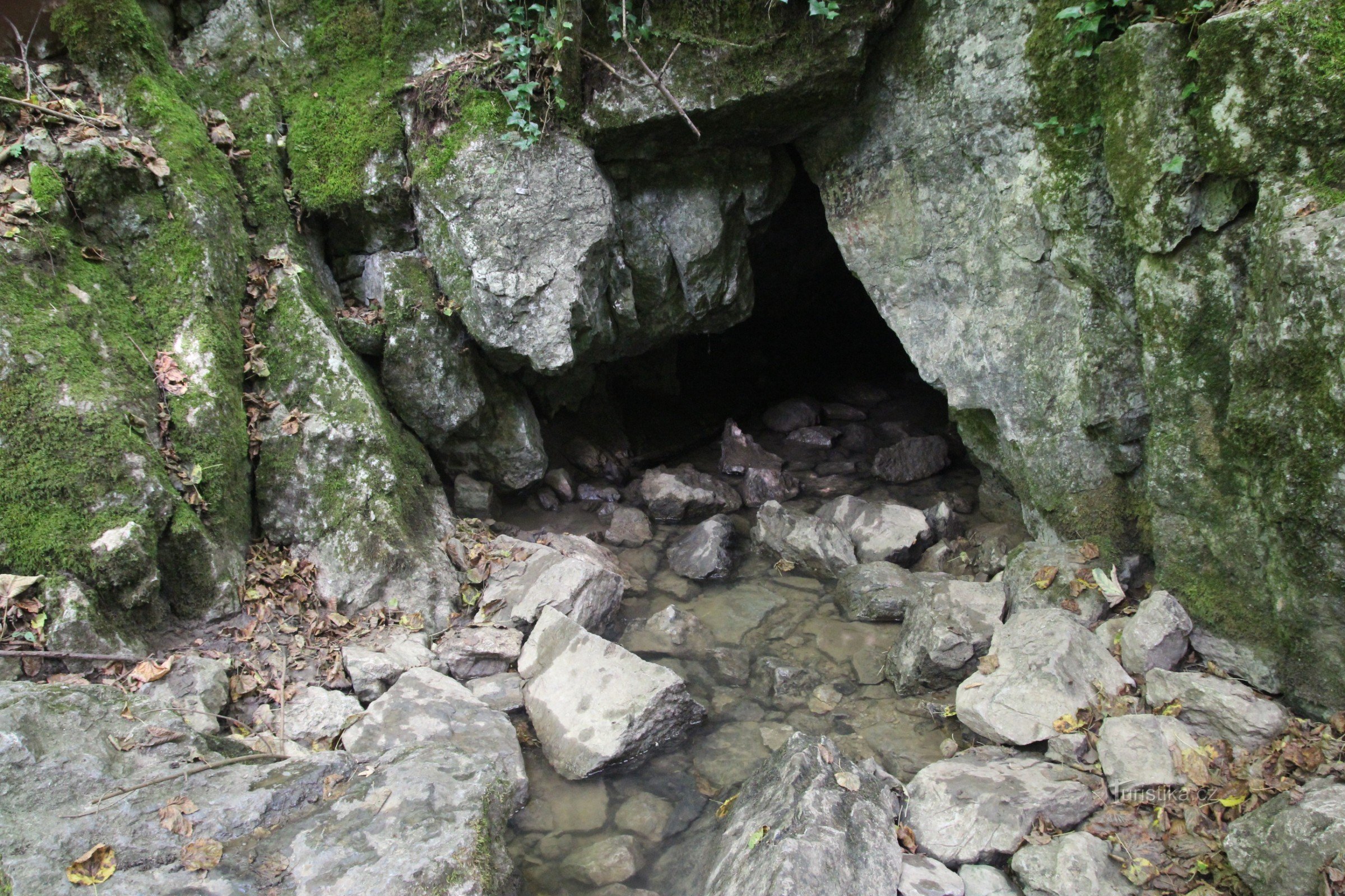 Die Quelle des Flusses Říčka im Karstteil des Baches