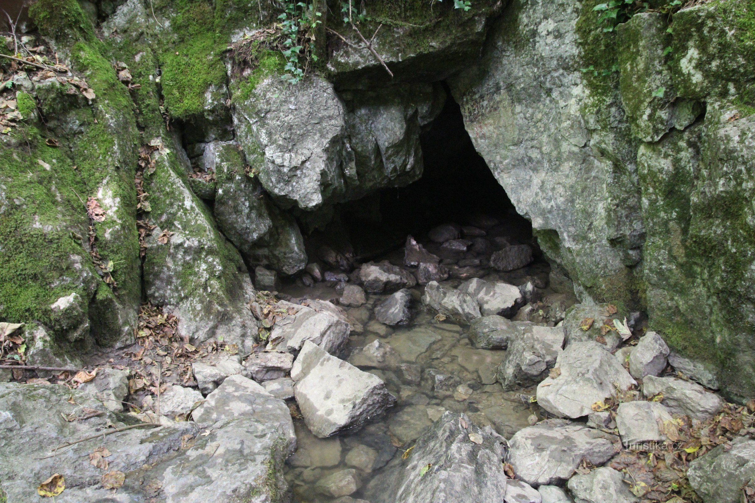 Izvorul râului Říčka în partea carstică a pârâului