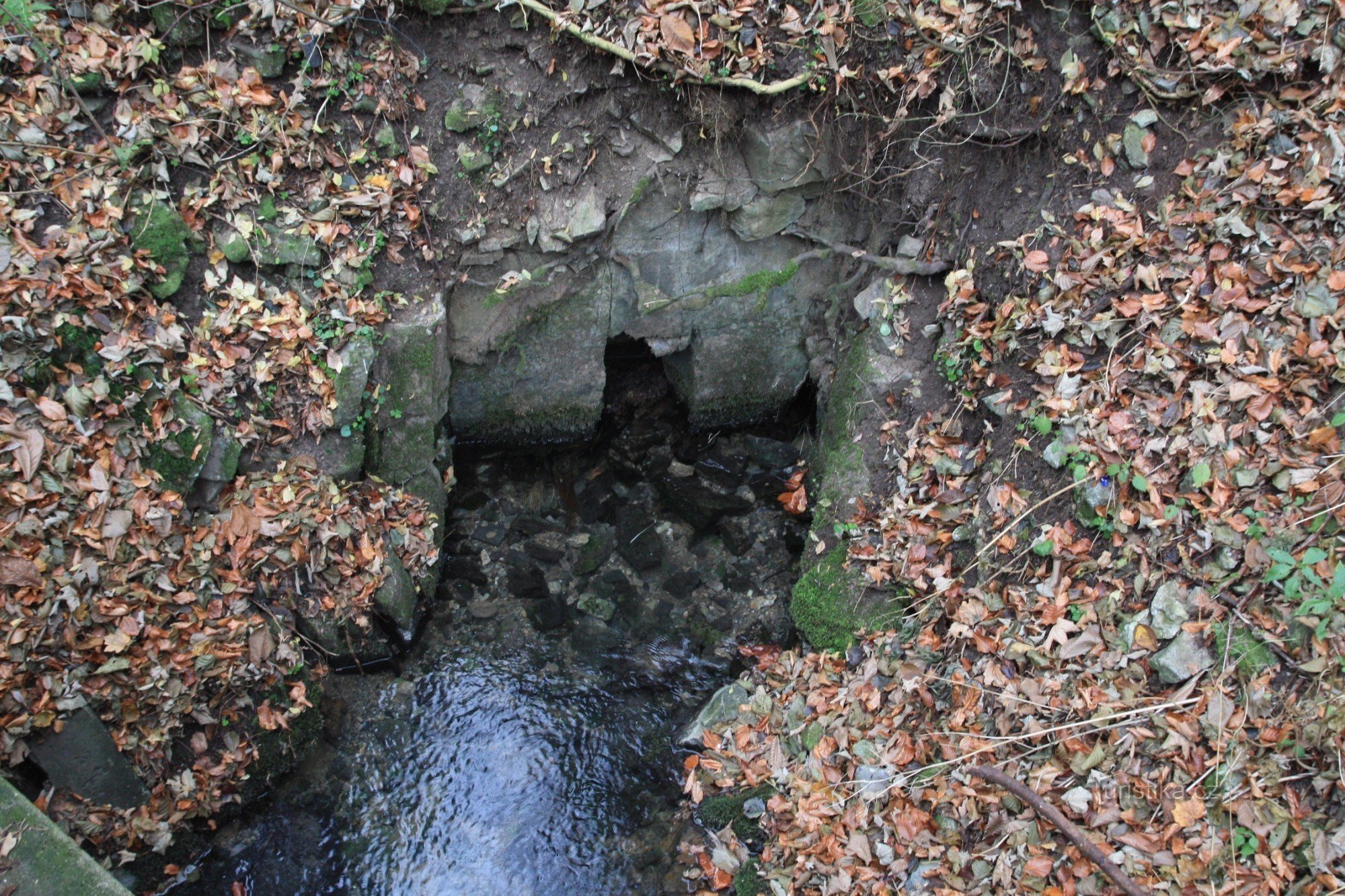 Die Quelle des Wassers von Křtinského potok