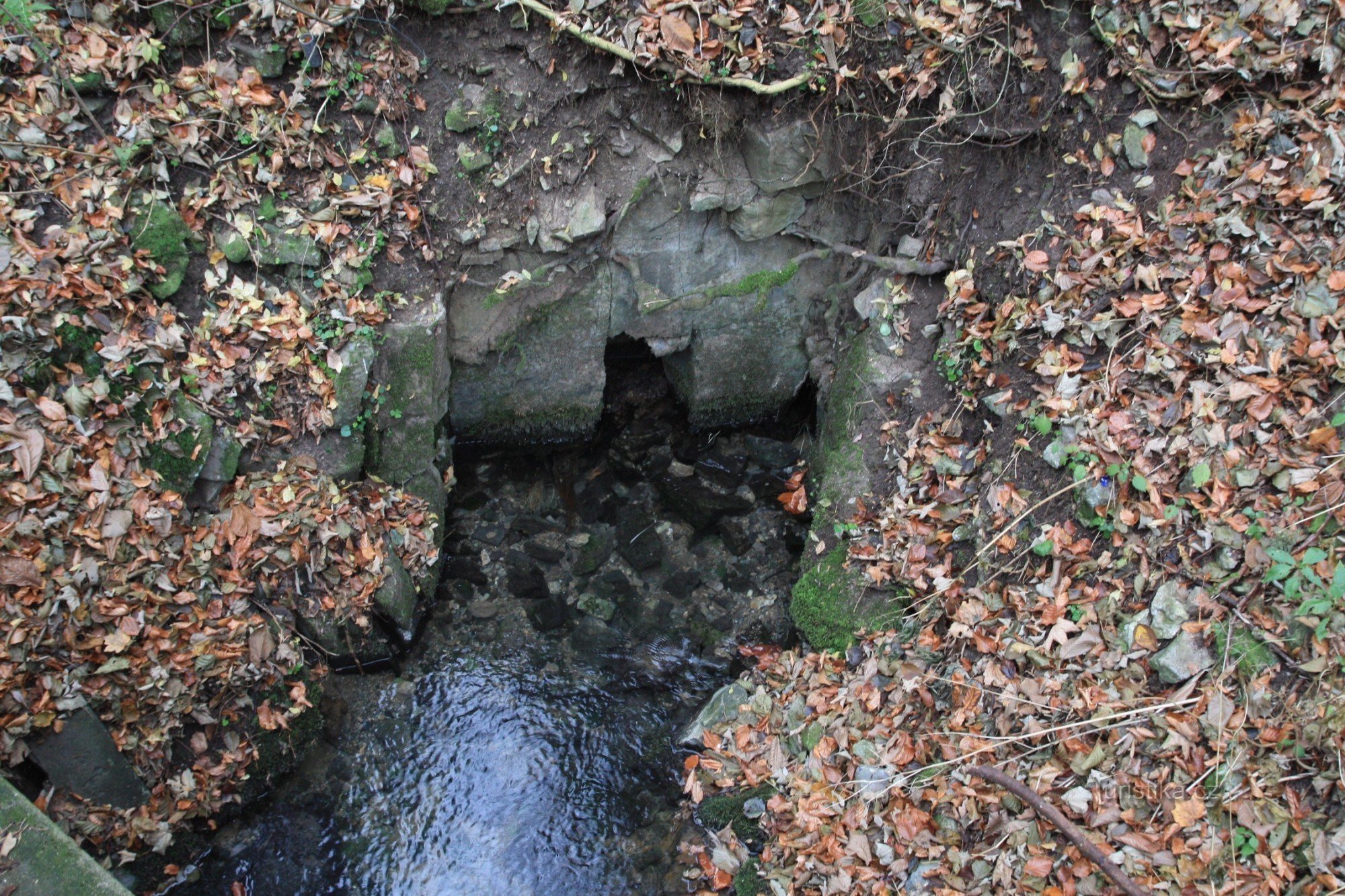 El manantial de las aguas de Křtinského potok