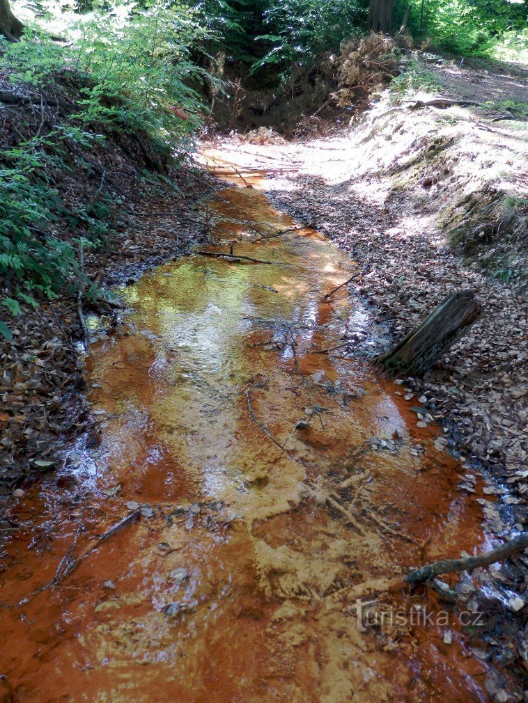 Spring of Rusty Creek