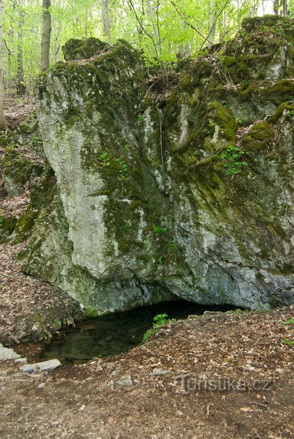 Tavaszi tó