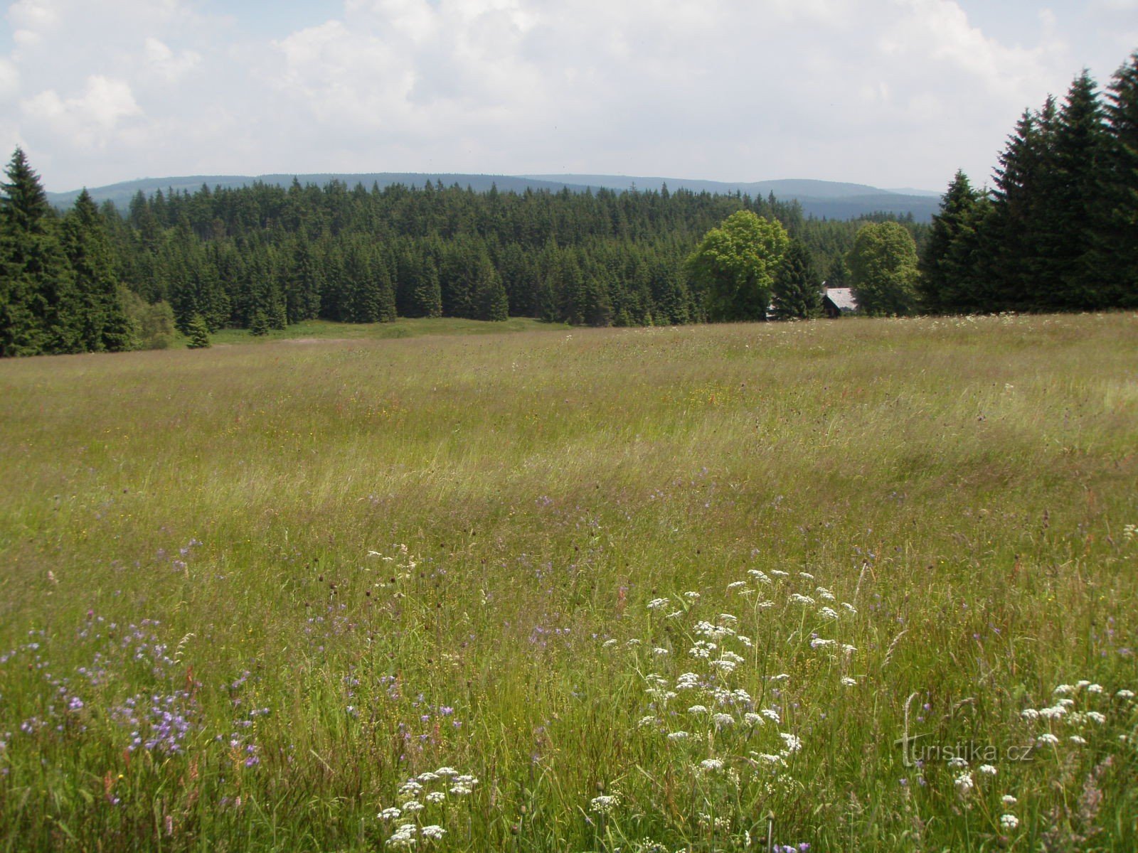 Bardziej odległy widok