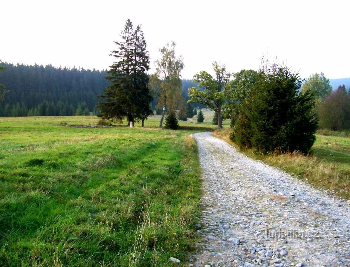 Op til Kamenec og det højeste bjerg i Novohradské hory