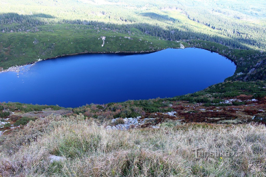 Великий Став