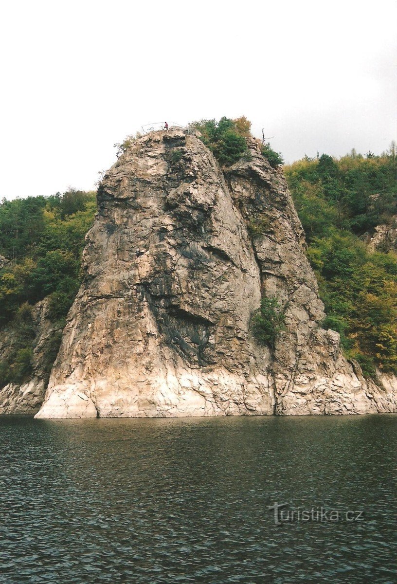 Wilson's rock of people