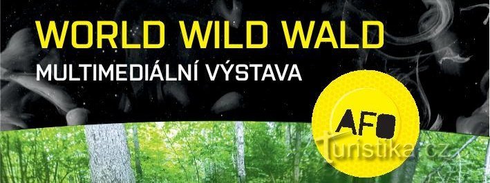 World Wild Forest Olomouc