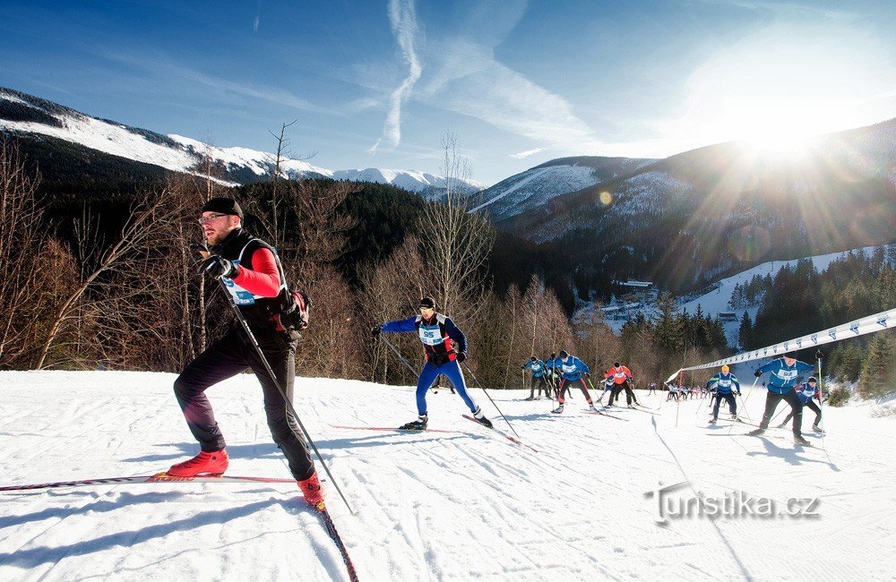 www.stopaprozivot.cz - Krkonošská 70 Kooperativer