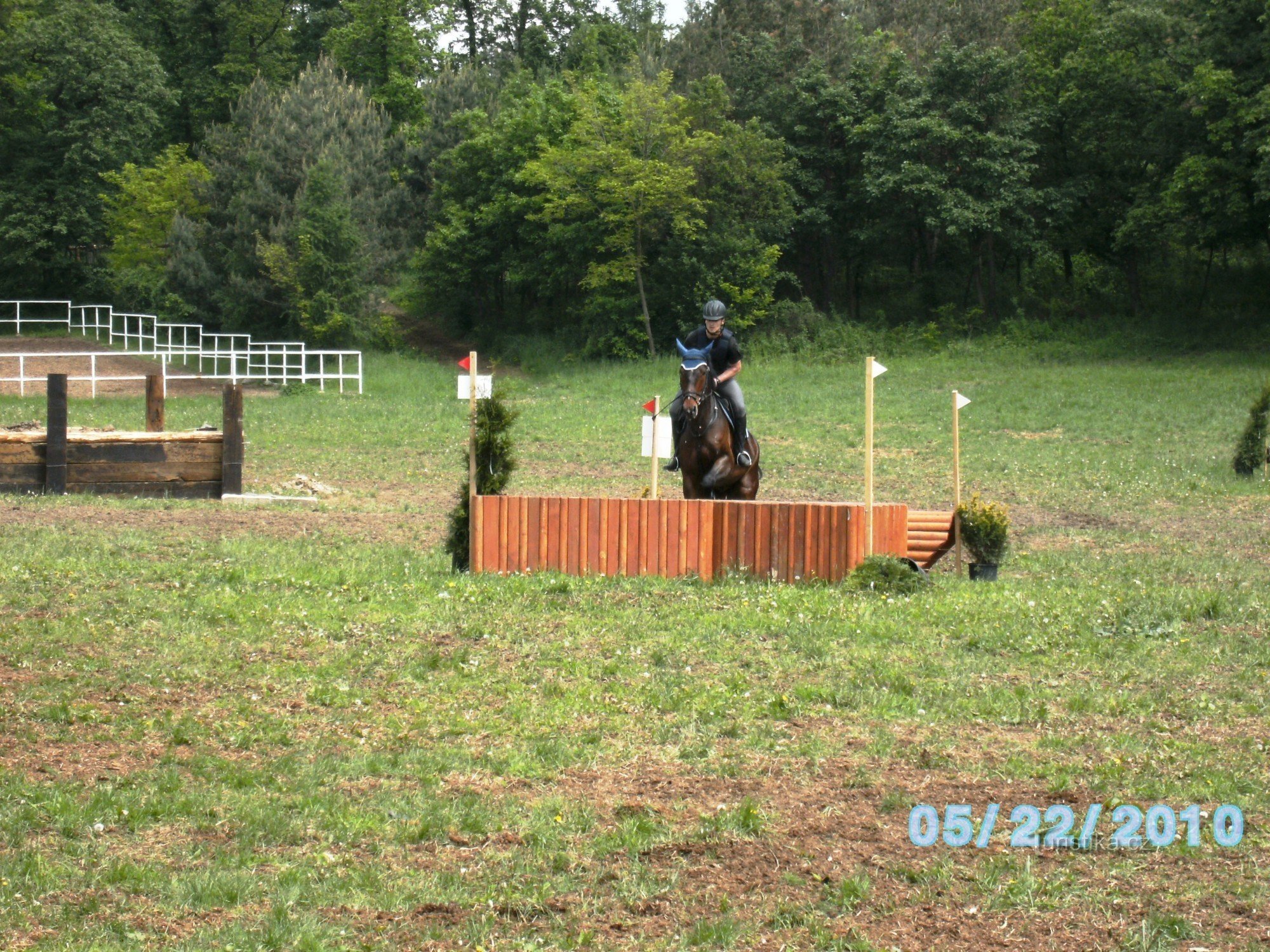 XIII. anno del Campionato Internazionale della Polizia della Repubblica Ceca di equitazione nel complesso di Panská lícha