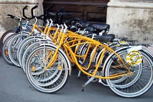 Желтая зебра Сегвеи и велосипеды