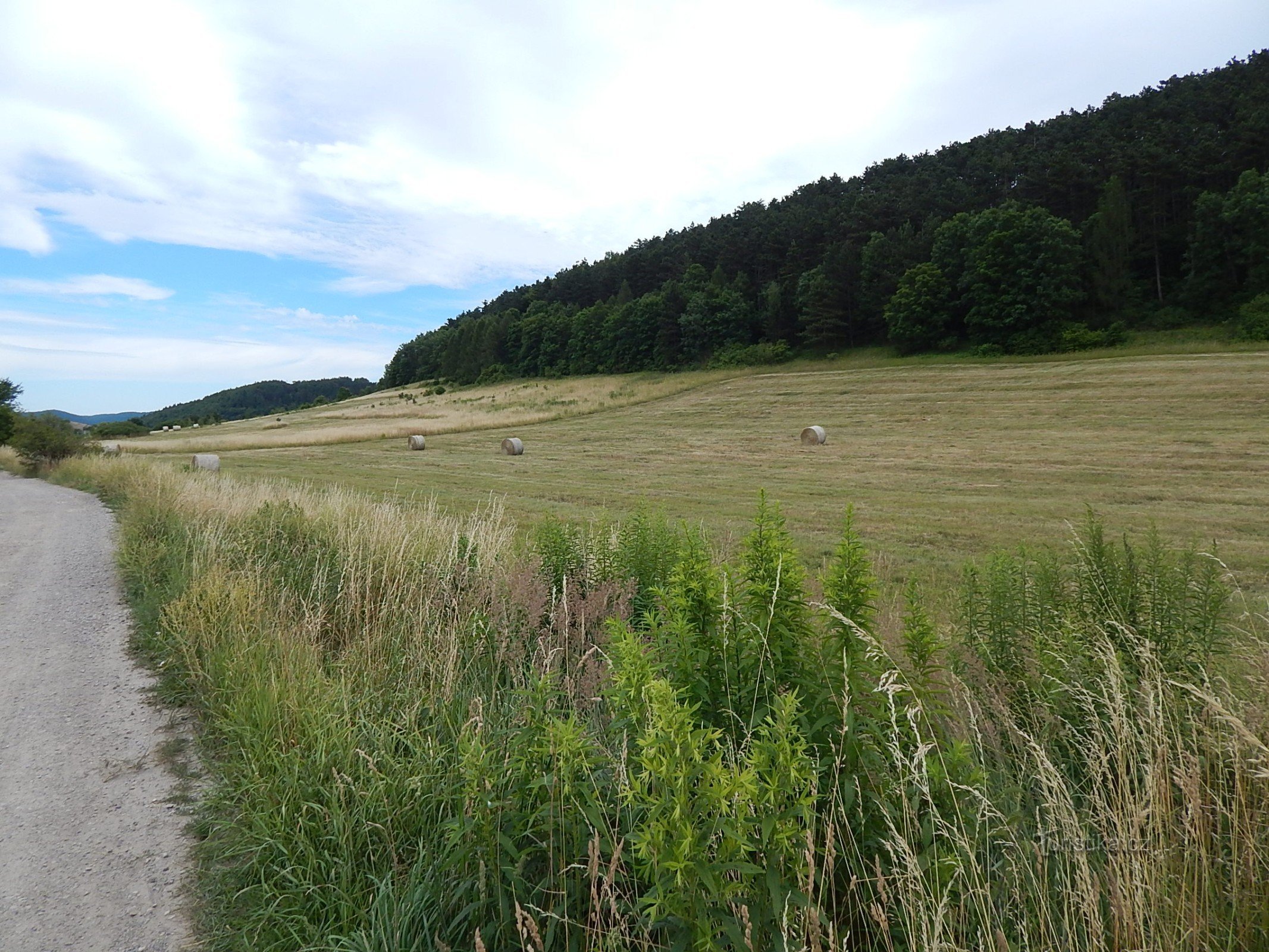 Från Beroun, gå till Koněpruské-grottorna