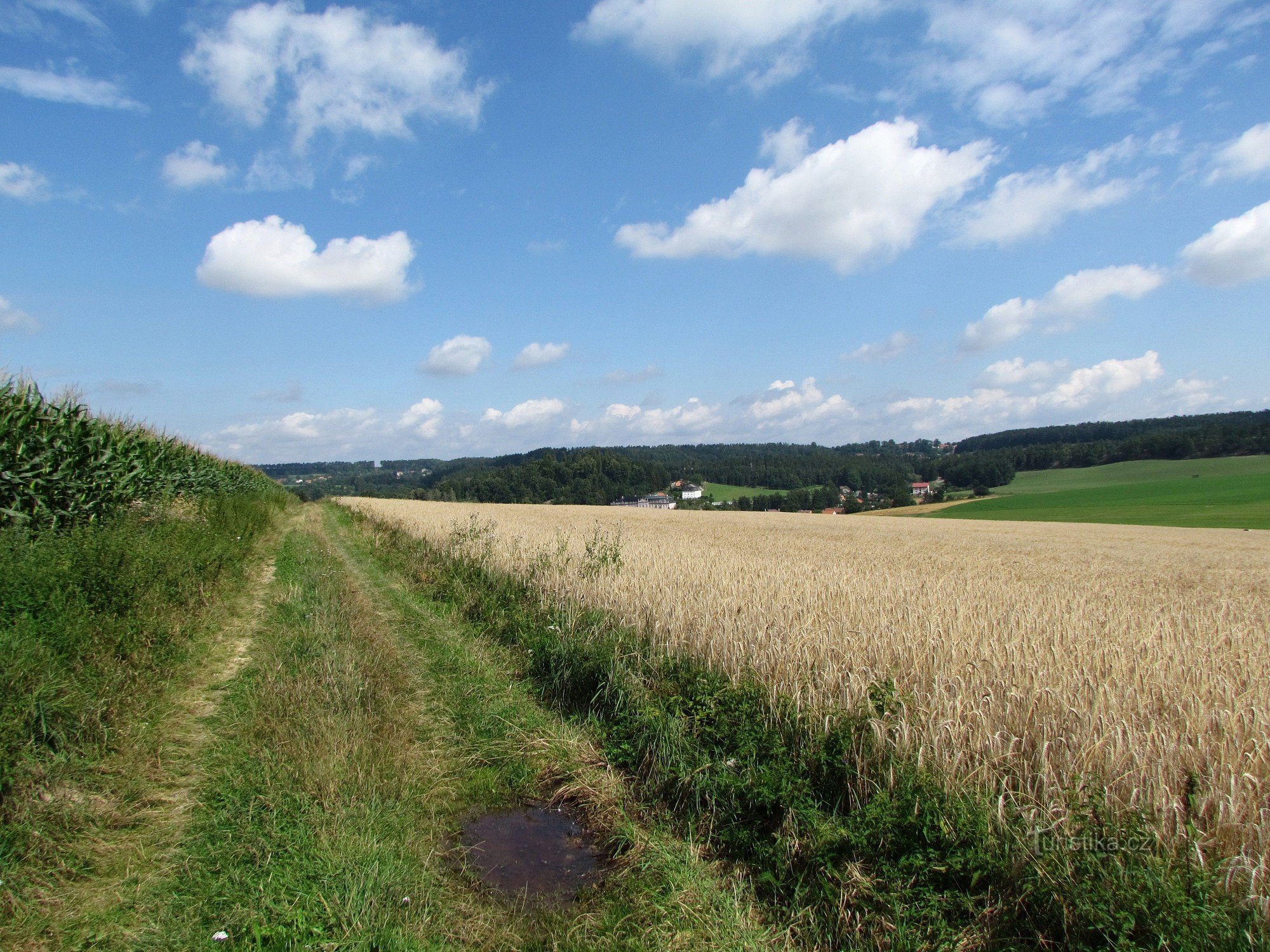 From Bor u Skutče via Maštale to Nové Hrady