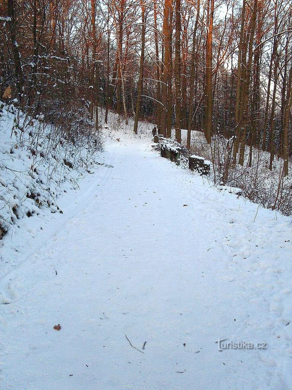 Van Česká Lípa naar Olbramic en terug