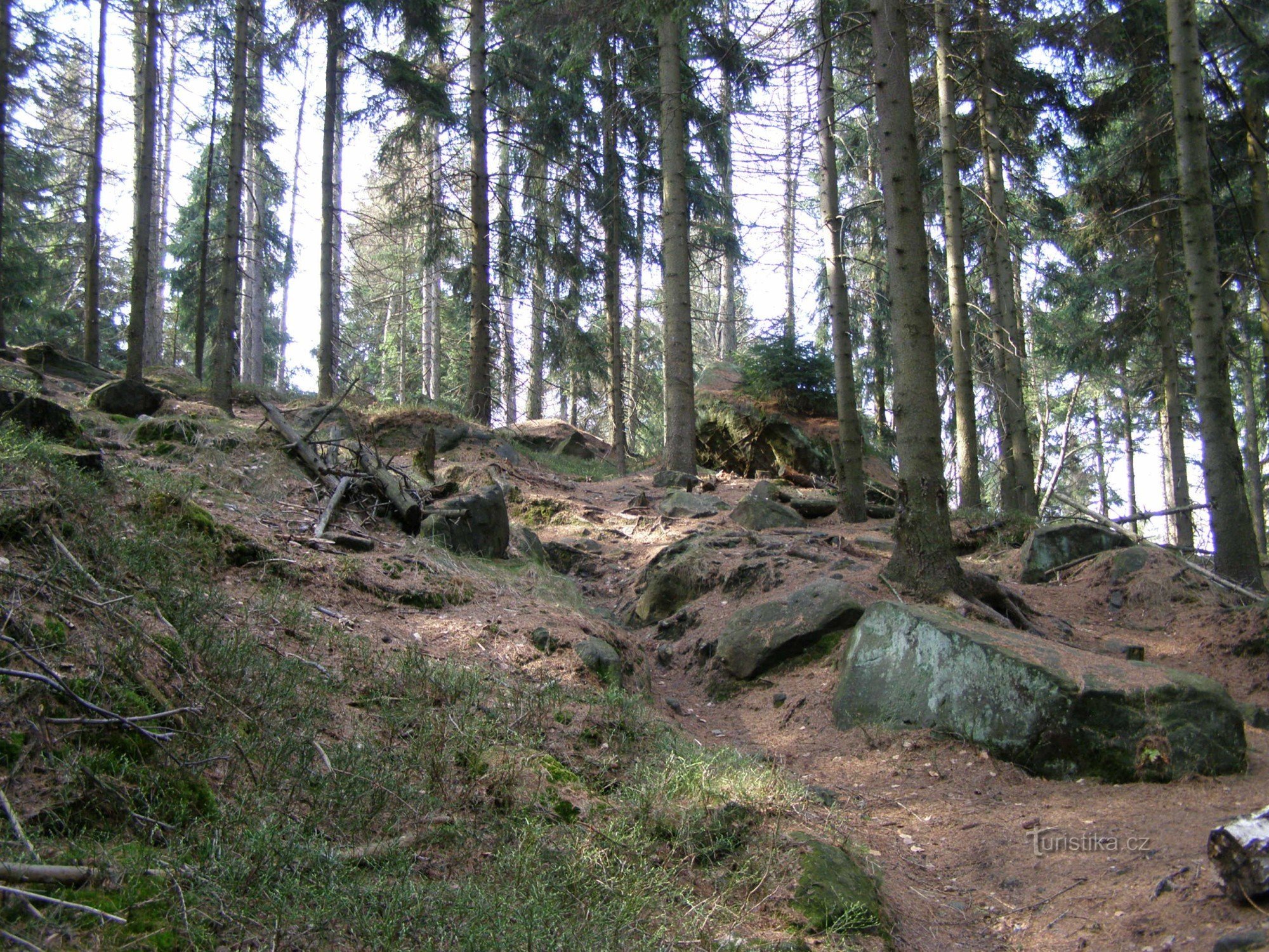 von der Straße zwischen Lesný und Ptačinec